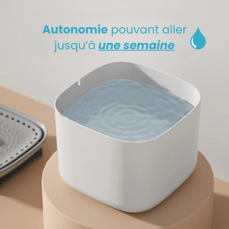 😺 Fontaine à Eau - L’Essentiel Bien-Être pour Chat