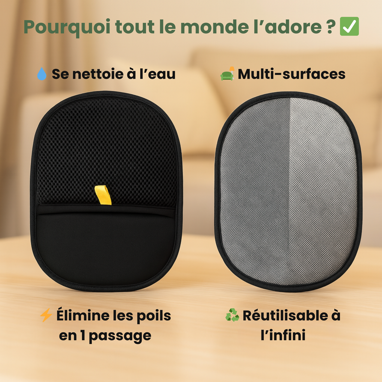 CleanPad™ - Ramasse poils