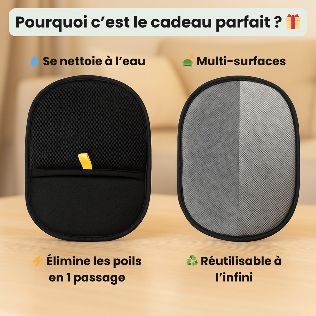 CleanPad™ - Ramasse poils