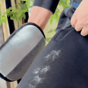 CleanPad™ - Ramasse poils