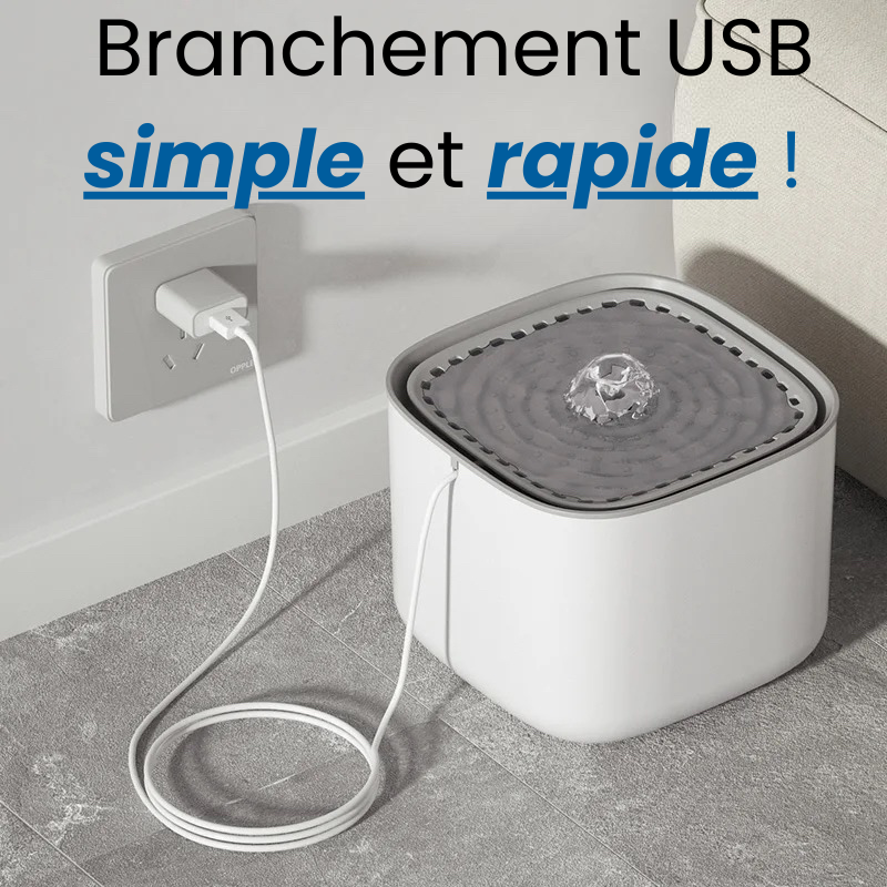 😺 Fontaine à Eau - L’Essentiel Bien-Être pour Chat